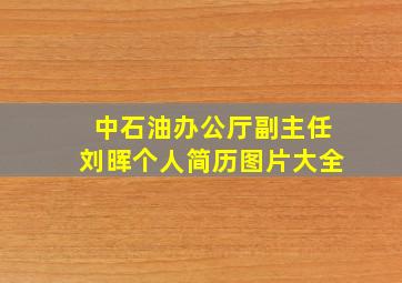 中石油办公厅副主任刘晖个人简历图片大全