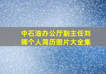 中石油办公厅副主任刘晖个人简历图片大全集