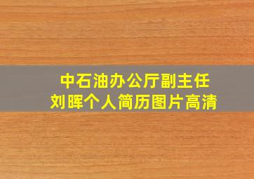 中石油办公厅副主任刘晖个人简历图片高清