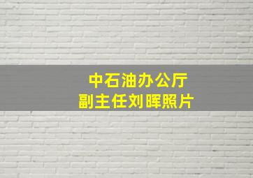 中石油办公厅副主任刘晖照片