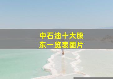 中石油十大股东一览表图片