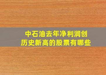 中石油去年净利润创历史新高的股票有哪些