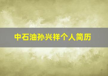 中石油孙兴祥个人简历