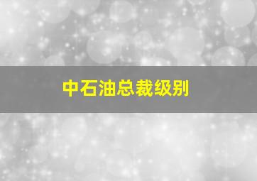 中石油总裁级别