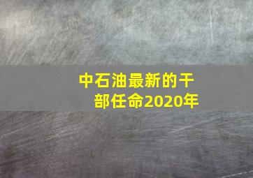 中石油最新的干部任命2020年