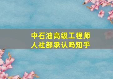 中石油高级工程师人社部承认吗知乎