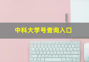 中科大学号查询入口