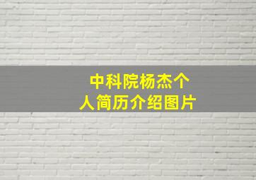 中科院杨杰个人简历介绍图片