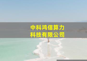 中科鸿信算力科技有限公司