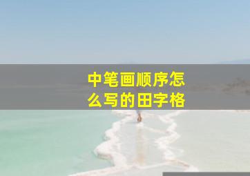 中笔画顺序怎么写的田字格