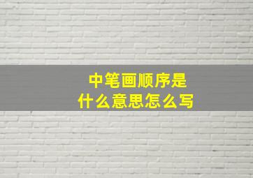 中笔画顺序是什么意思怎么写