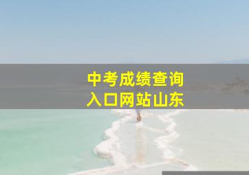 中考成绩查询入口网站山东