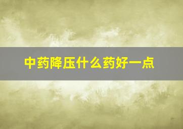 中药降压什么药好一点