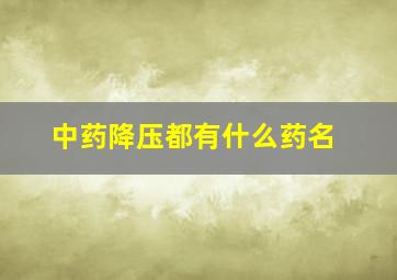 中药降压都有什么药名