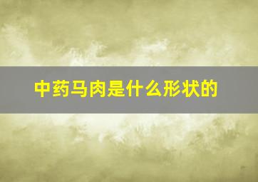 中药马肉是什么形状的