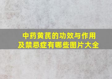 中药黄芪的功效与作用及禁忌症有哪些图片大全