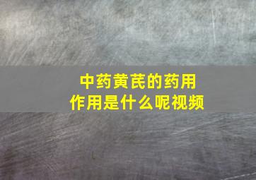 中药黄芪的药用作用是什么呢视频