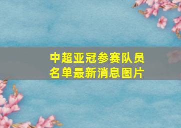 中超亚冠参赛队员名单最新消息图片