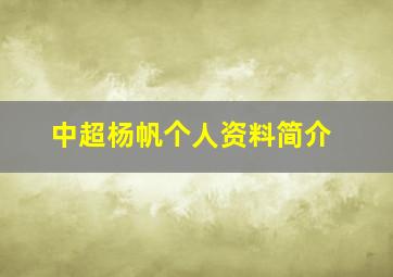 中超杨帆个人资料简介