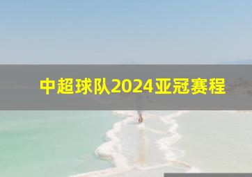 中超球队2024亚冠赛程