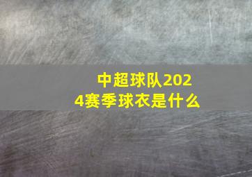 中超球队2024赛季球衣是什么