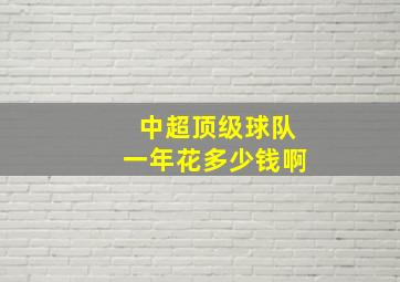 中超顶级球队一年花多少钱啊