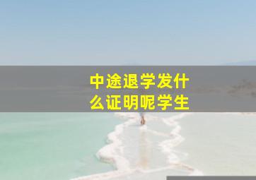 中途退学发什么证明呢学生