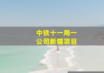 中铁十一局一公司新疆项目