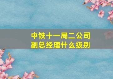 中铁十一局二公司副总经理什么级别