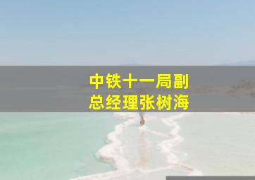 中铁十一局副总经理张树海