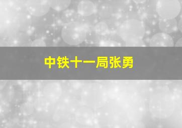 中铁十一局张勇