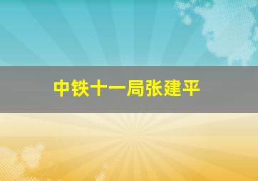 中铁十一局张建平