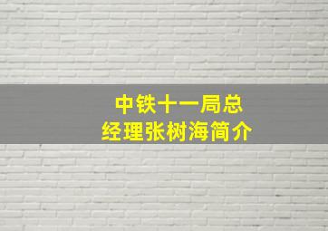 中铁十一局总经理张树海简介