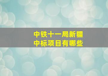 中铁十一局新疆中标项目有哪些