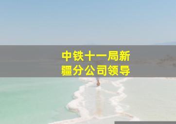 中铁十一局新疆分公司领导