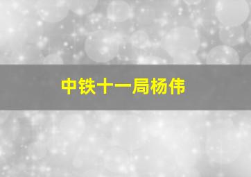 中铁十一局杨伟