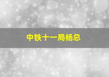 中铁十一局杨总