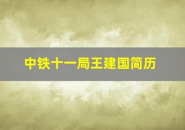 中铁十一局王建国简历