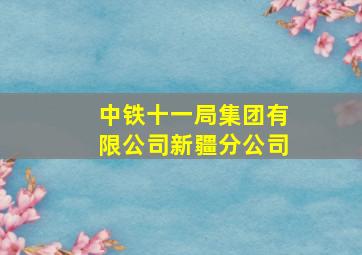 中铁十一局集团有限公司新疆分公司