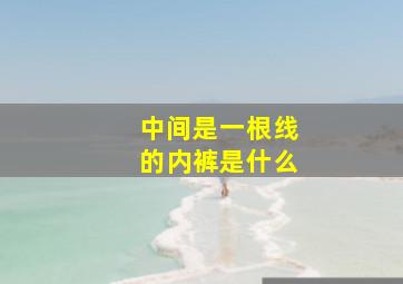 中间是一根线的内裤是什么