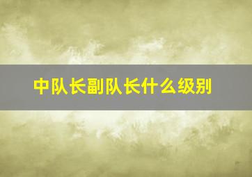 中队长副队长什么级别