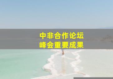 中非合作论坛峰会重要成果