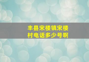 丰县宋楼镇宋楼村电话多少号啊