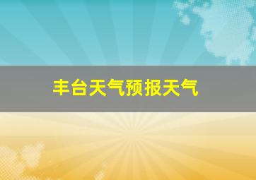 丰台天气预报天气