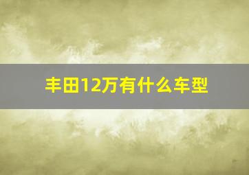 丰田12万有什么车型