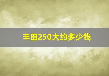 丰田250大约多少钱