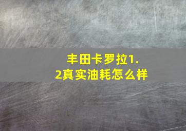 丰田卡罗拉1.2真实油耗怎么样