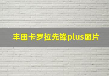 丰田卡罗拉先锋plus图片