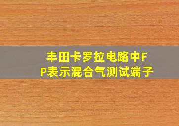 丰田卡罗拉电路中FP表示混合气测试端子