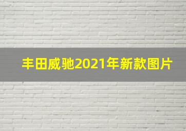 丰田威驰2021年新款图片